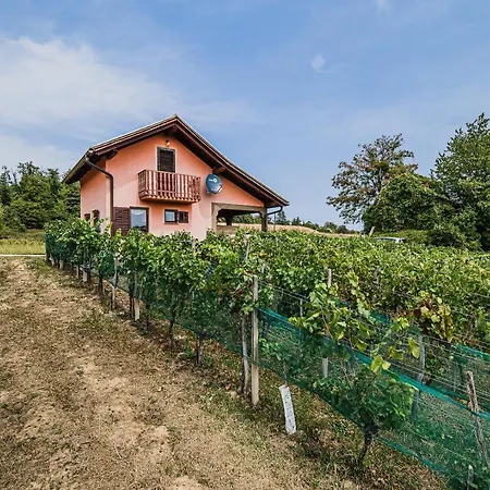 Vesna With Sauna Brežice