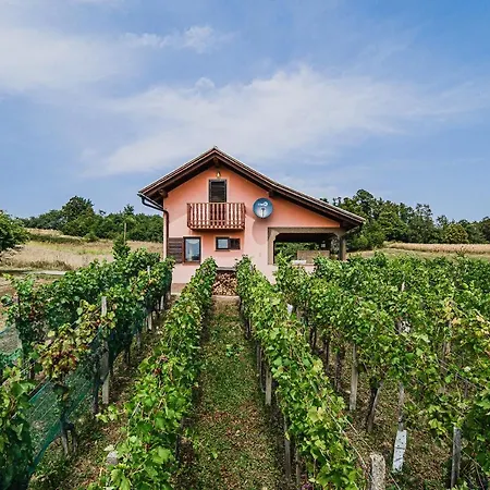 Hébergement de vacances Vesna With Sauna