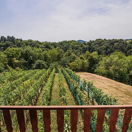 Vesna With Sauna Hébergement de vacances