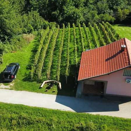 Hébergement de vacances Vesna With Sauna Brežice